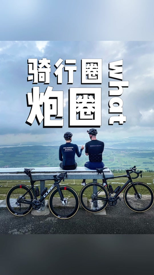 飞鹤自行车