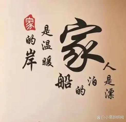 找回我家的监控和家亲