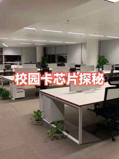 校园卡芯片怎么取出来图标