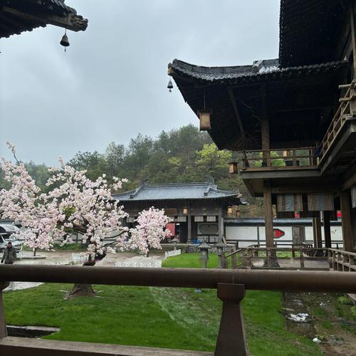 绯月仙行录回想房在哪