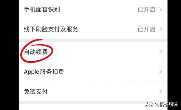 支付宝vip会员扣38元是什么意思