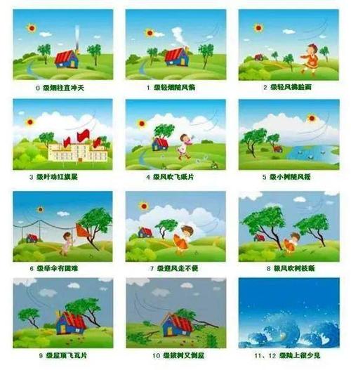 迎着风迎着雨是哪首歌的歌词截图