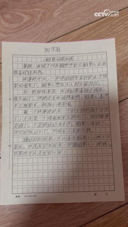 稻草人中野牛的读后感