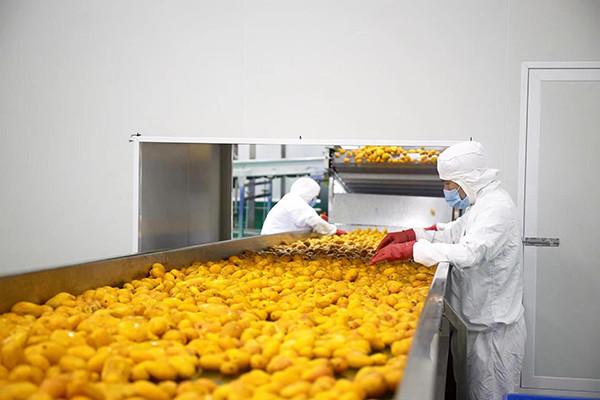 广西田阳壮岭果食品有限公司截图