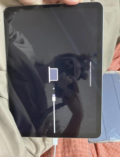 ipad还原所有设置后开不了机
