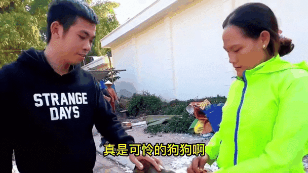 狗突然跑床是福是祸截图