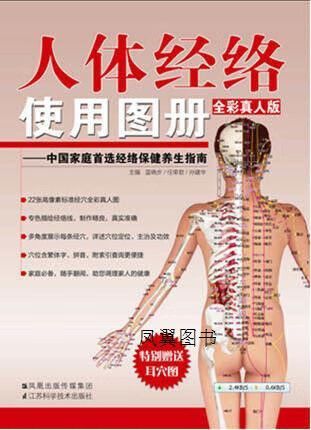 经与络各指什么