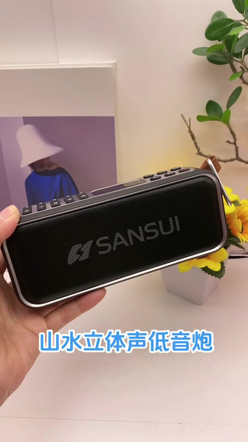 u盘插山水音响没反应游戏截图