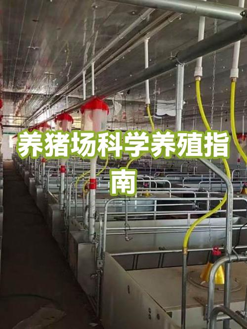 欢乐养猪场是真的吗安全吗