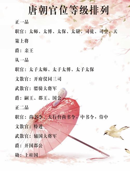 官榜全部章节