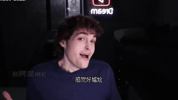 我的世界dream本人缩略图