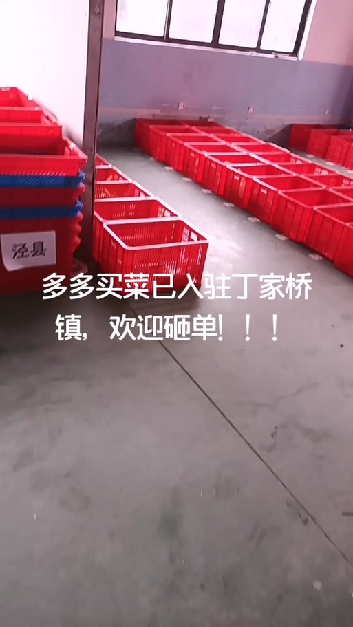 多多买菜站长真实收入