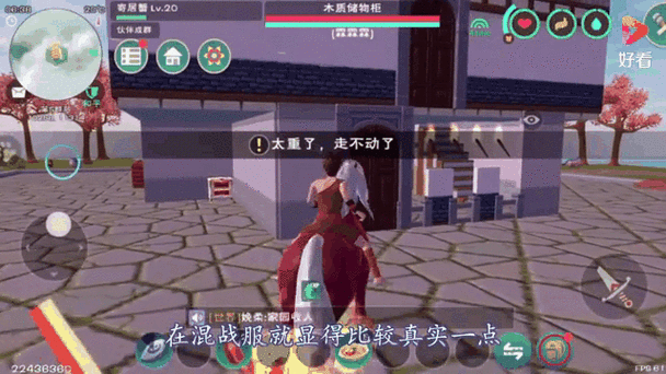 创造与魔法黄金储物柜能放几个