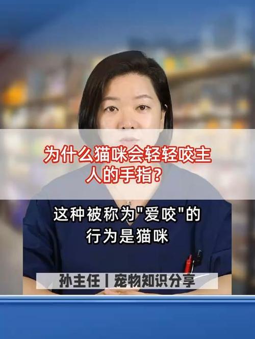为什么猫会轻轻咬主人缩略图