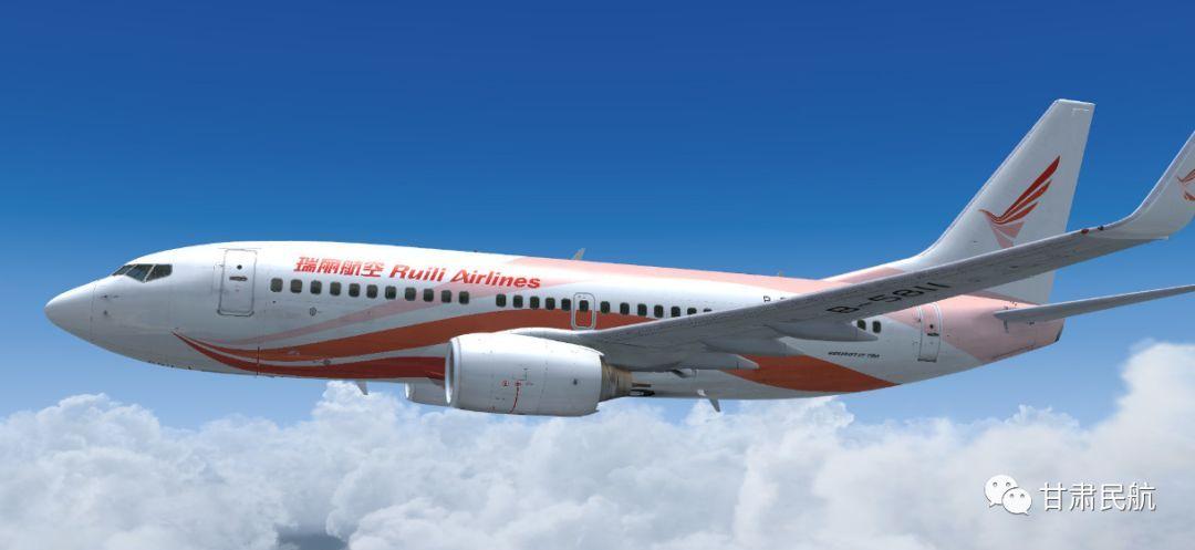 瑞丽航空官网登录入口