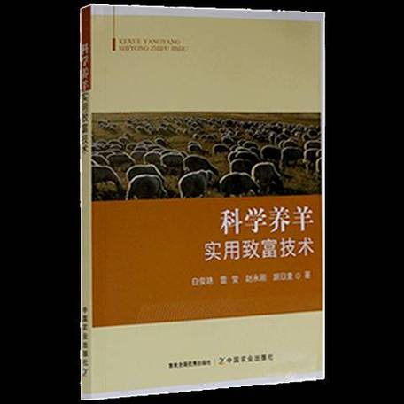 养多少只羊比打工强