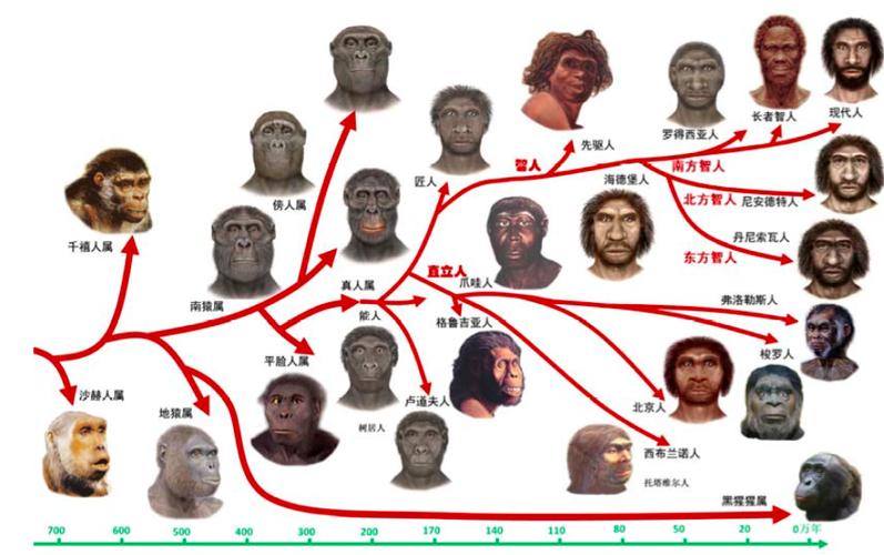 地球上第一个人是谁