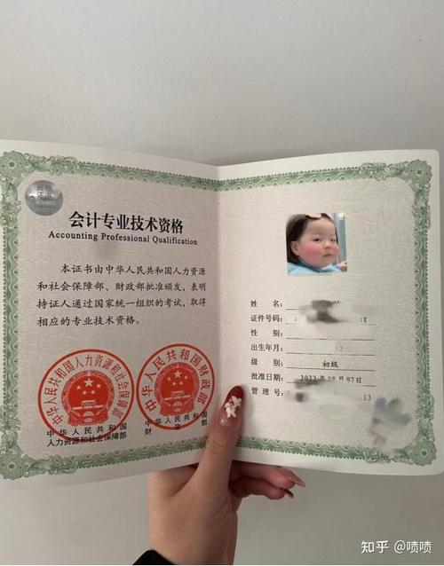 过了初级会计能干嘛图标
