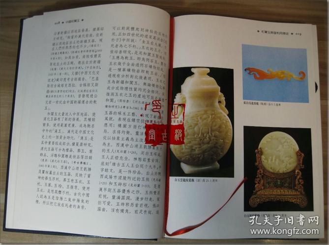 白玉道奇书网