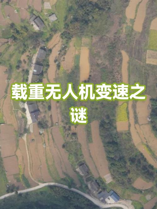 内变速与外变速的区别
