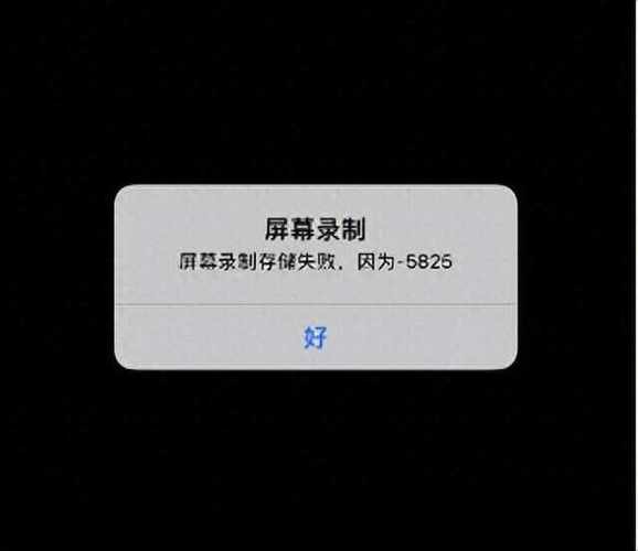 屏幕录制完后播放黑屏