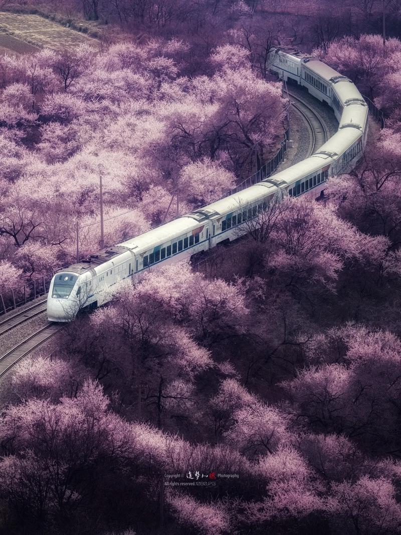 无限列车美剧