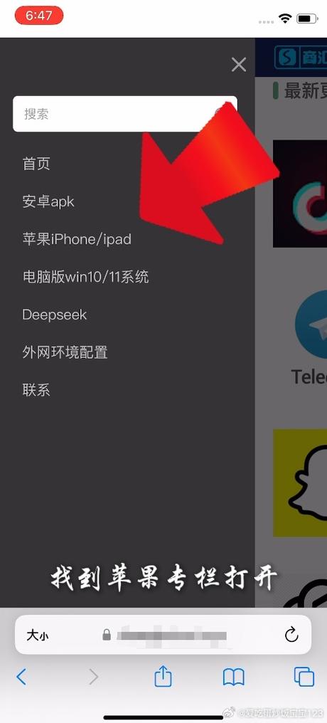 snapchat安装入口缩略图
