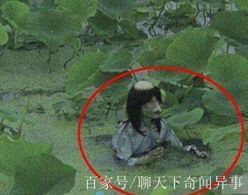 天下奇闻异事