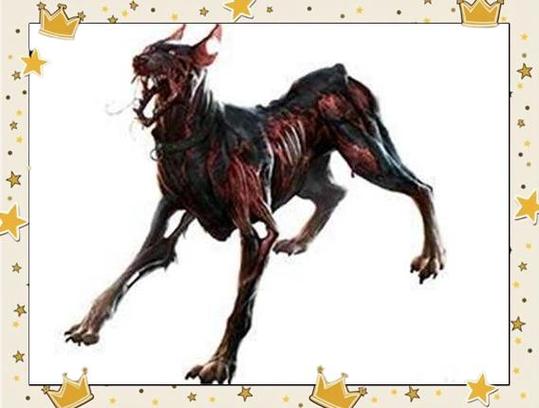 地狱犬叫什么名字