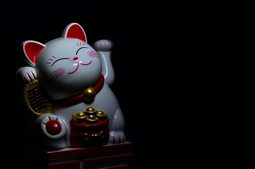 黑色招财猫代表什么截图