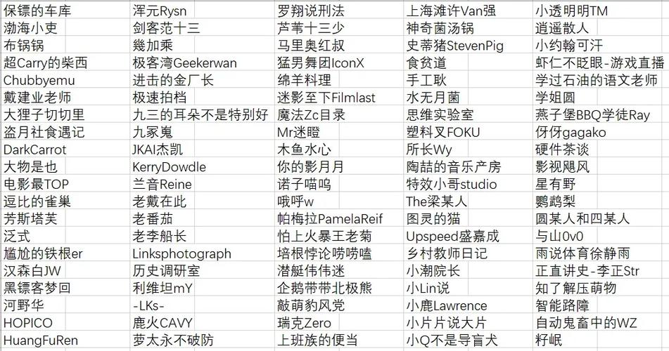 哔哩哔哩百大up主