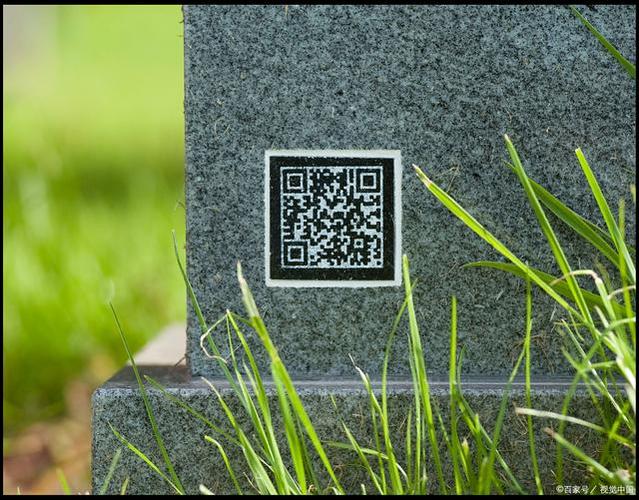 ipad二维码在哪图标