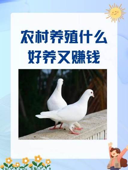 养殖什么好养又赚钱本钱小
