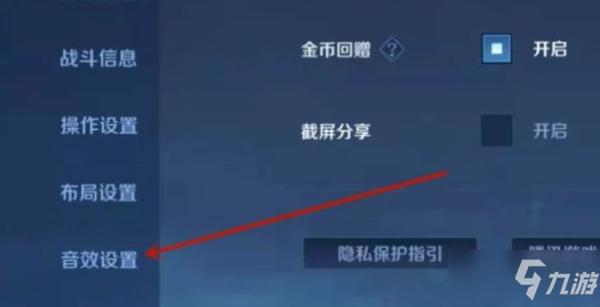 王者荣耀不能语音