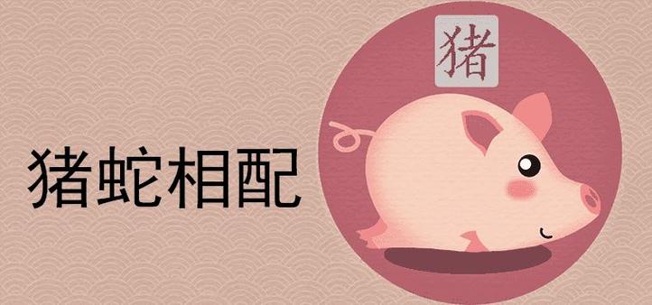 蛇和猪相克反而大吉