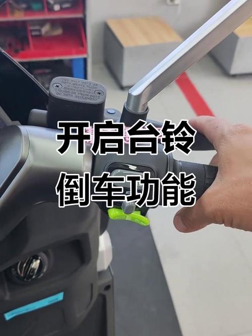 台铃电动车有倒档吗截图