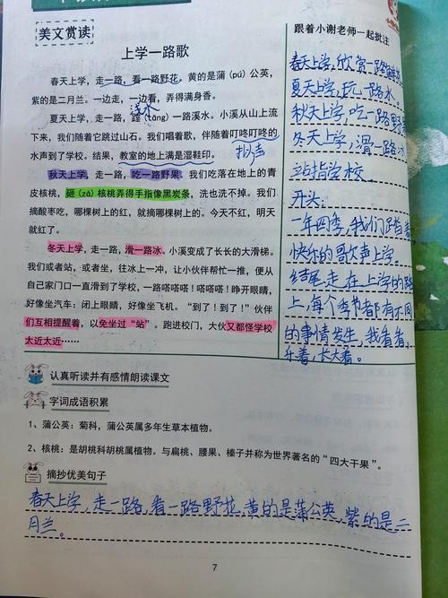 第一次真好阅读短文答案