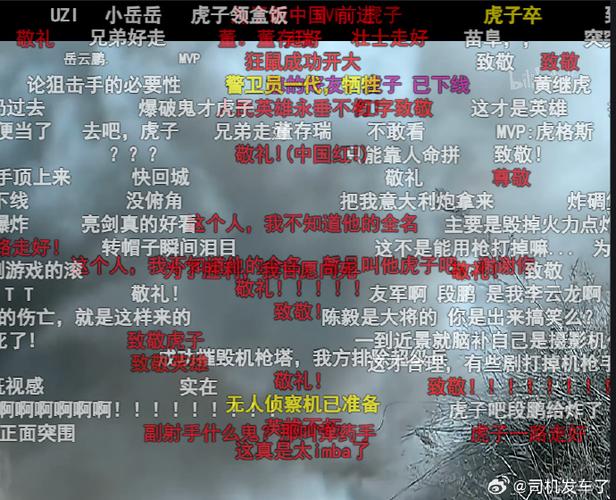 B站顶部弹幕只显示一半字体