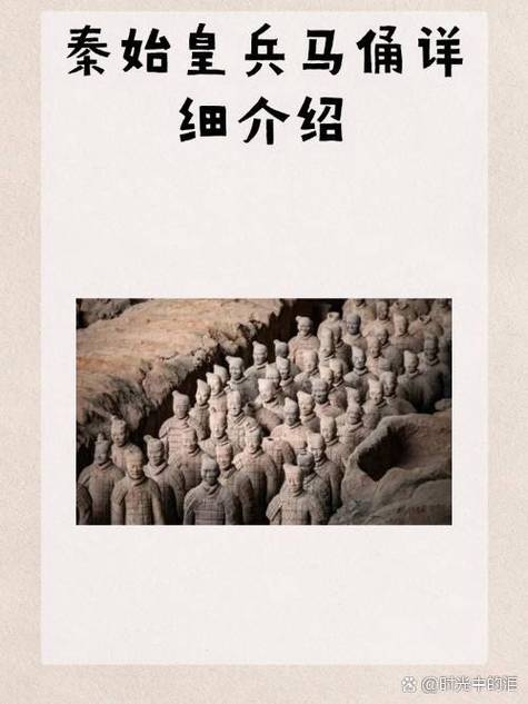 秦始皇兵马俑简介资料