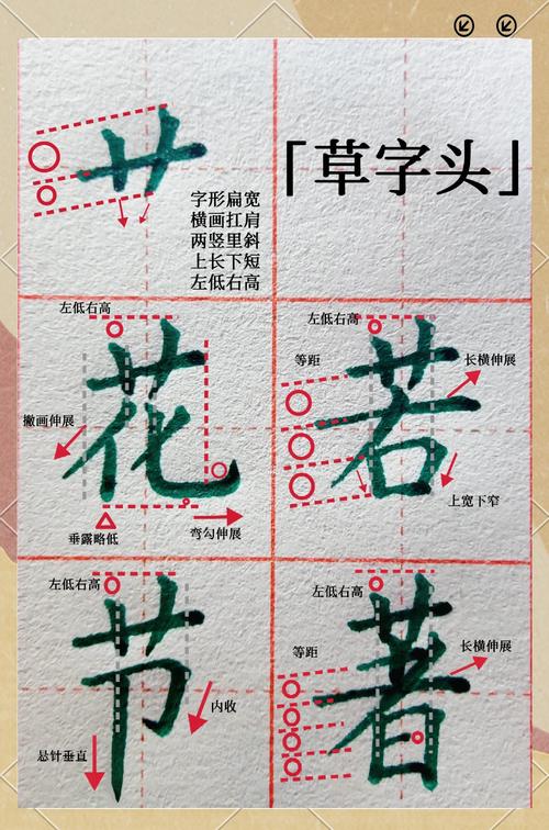 100个草字头汉字
