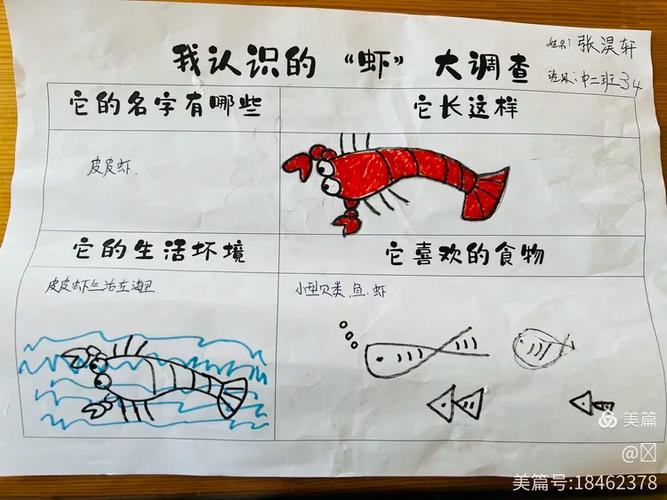 皮皮虾与普通虾的区别截图
