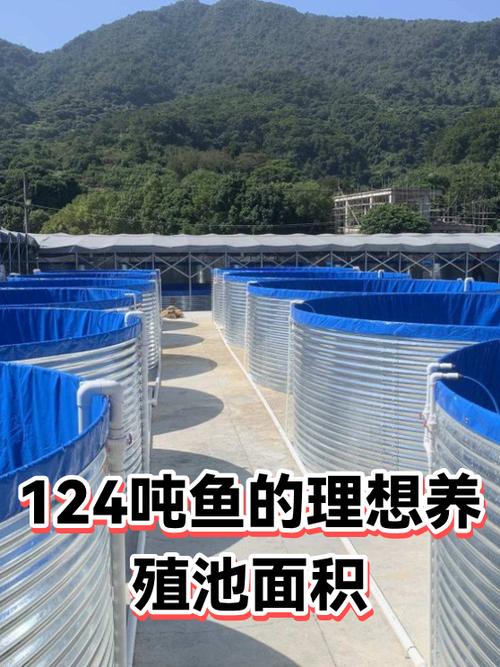 有个记账软件叫什么鱼