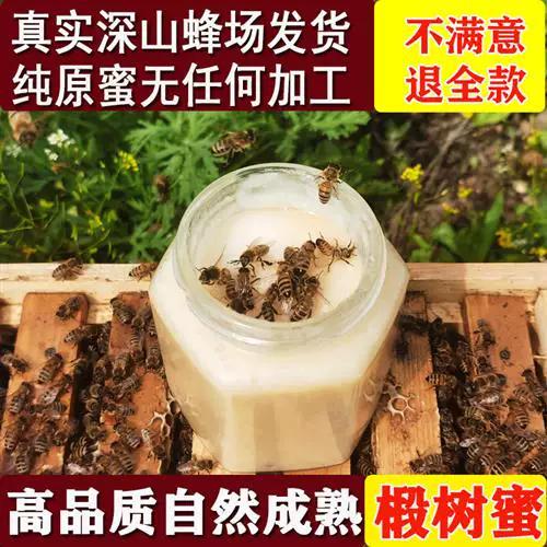 黑蜂雪蜜的功效与作用