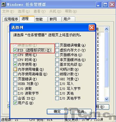 进程iexplore
