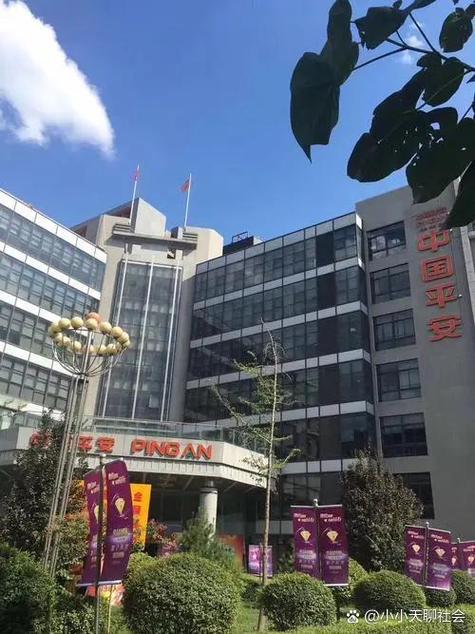 平安保险西安总部地址