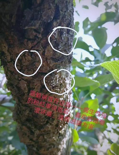 打印机打印出来有黑点缩略图