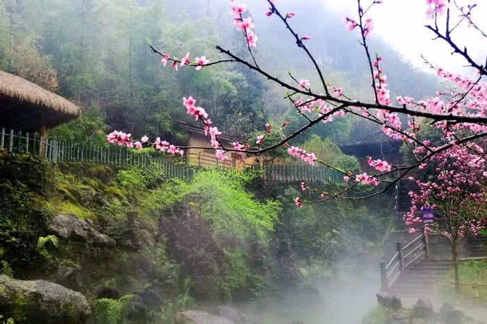 黄瓜山村桃花源