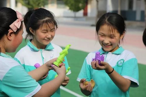 小学六年级成绩单