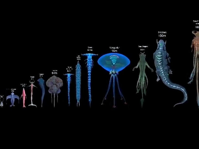 深海迷航十大巨型生物