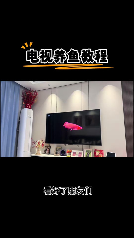 电视怎么设置屏保截图